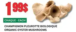 Marches Tau CHAMPIGNON PLEUROTTE BIOLOGIQUE offer