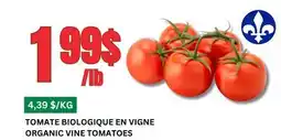 Marches Tau TOMATE BIOLOGIQUE EN VIGNE offer