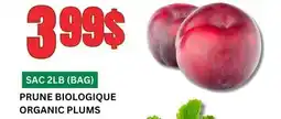 Marches Tau PRUNE BIOLOGIQUE offer