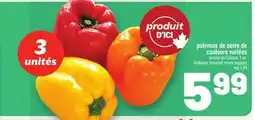 Metro POIVRONS DE SERRE DE COULEURS VARIÉES | HOT-HOUSE ASSORTED COLORS PEPPERS offer
