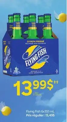 Metro FLYING FISH offer