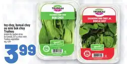 Metro TOY CHOY, BONSAÏ CHOY OU MINI BOK CHOY TRUDEAU | TRUDEAU VEGETABLES offer