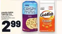 Metro CRAQUELINS GOLDFISH PEPPERIDGE FARM | PEPPERIDGE FARM GOLDFISH CRACKERS offer