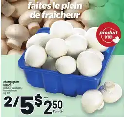 Metro CHAMPIGNONS BLANCS | WHITE MUSHROOMS offer