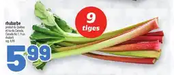 Metro RHUBARBE | RHUBARB offer