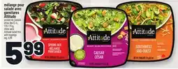 Metro MÉLANGE POUR SALADE AVEC GARNITURES ATTITUDE | ATTITUDE SALAD MIX WITH TOPPINGS offer