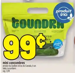 Metro MINI CONCOMBRES | BABY CUCUMBERS offer