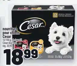 Metro NOURRITURE POUR CHIENS CESAR | CESAR DOG FOOD offer