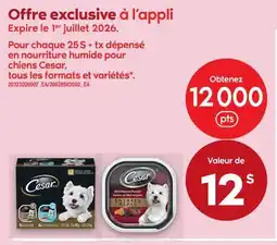 Maxi CHIENS CESAR offer