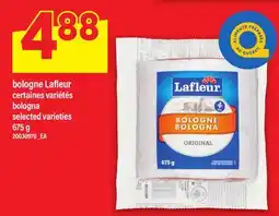 Maxi BOLOGNE LAFLEUR | BOLOGNA offer