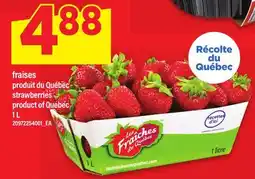 Maxi FRAISES | strawberries offer