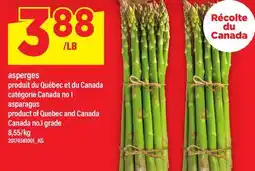 Maxi ASPERGES | ASPARAGUS offer