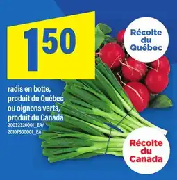 Maxi radis en botte, ou oignons verts offer