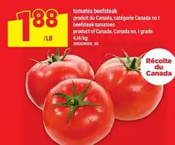Maxi TOMATES BEEFSTEAK | BEEFSTEAK TOMATOES offer