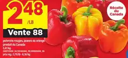 Maxi POIVRONS ROUGES, JAUNES OU ORANGE offer