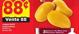 Maxi MANGUES ATAULFO offer