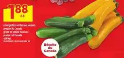 Maxi courgettes vertes ou jaunes | green or yellow zucchini offer