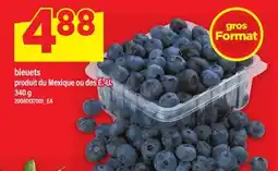 Maxi BLEUETS offer