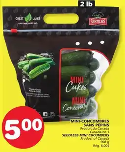 Marches Tradition SEEDLESS MINI CUCUMBERS offer