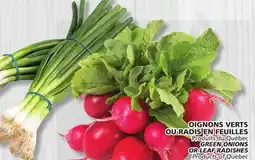 Marches Tradition GREEN ONIONS OR LEAF RADISHES offer