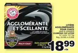 Marches Tradition ARM & HAMMER CLUMPING CAT LITTER offer