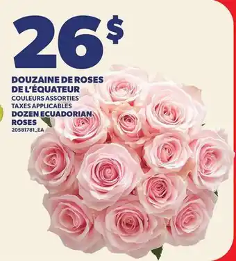 Provigo DOUZAINE DE ROSES DE L'ÉQUATEUR | DOZEN ECUADORIAN ROSES offer