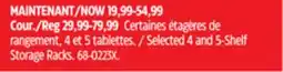 Canadian Tire Selected 4 and 5-Shelf Storage Racks offer