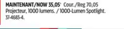 Canadian Tire 1000-Lumen Spotlight offer