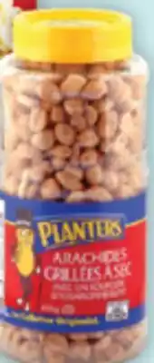 Brunet PLANTERS Arachides sélectionnées offer