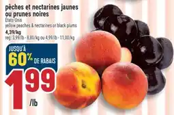 Marché Adonis PÊCHES ET NECTARINES JAUNES OU PRUNES NOIRES | YELLOW PEACHES & NECTARINES OR BLACK PLUMS offer