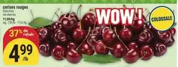 Marché Adonis CERISES ROUGES | RED CHERRIES offer