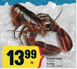 Marché Adonis HOMARD VIVANT | LIVE LOBSTER offer