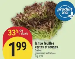 Marché Adonis LAITUE FEUILLES VERTES ET ROUGES | GREEN & RED LEAF LETTUCE offer