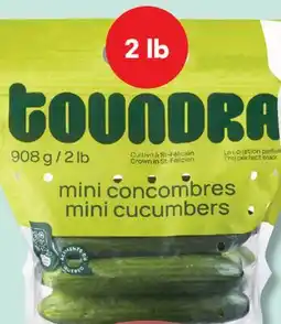IGA SEEDLESS MINI CUCUMBERS offer