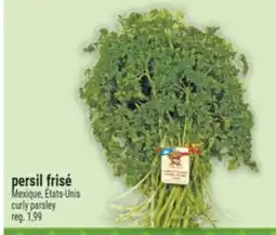 Marché Adonis PERSIL FRISÉ | CURLY PARSLEY offer