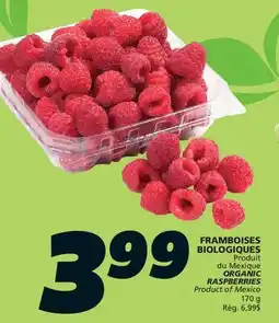 IGA ORGANIC RASPBERRIES offer