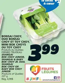 IGA SHANGAI BOK CHOY offer