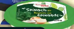 IGA FONTAINE SANTÉ DIP offer