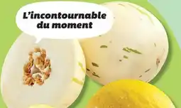 IGA CANARY OR PICASSO MELON offer