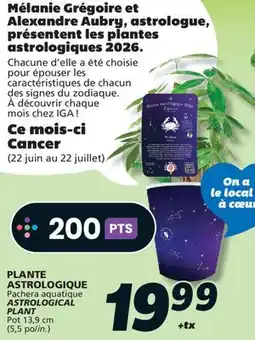 IGA ASTROLOGICAL PLANT offer