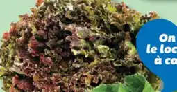 IGA RED LEAF LETTUCE offer