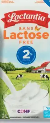IGA LACTANTIA CHOCOLATE MILK OR LACTOSE-FREE MILK offer