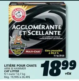 IGA ARM & HAMMER CAT LITTER offer