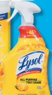IGA LYSOL DISINFECTANT SPRAY offer