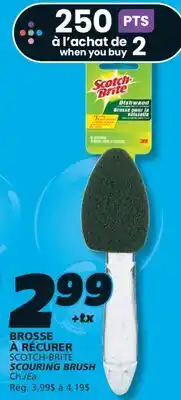 IGA SCOTCH-BRITE SCOURING BRUSH offer