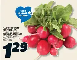 IGA RED LEAF RADISHES offer