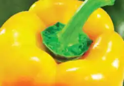 IGA SWEET YELLOW PEPPERS offer