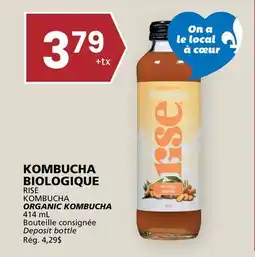 Rachelle-Bery Grocery RISE ORGANIC KOMBUCHA offer