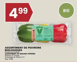 Rachelle-Bery Grocery ASSORTMENT OF ORGANIC PEPPERS offer