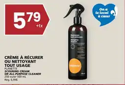 Rachelle-Bery Grocery PLANETTE SCOURING CREAM OR ALL-PURPOSE CLEANER offer